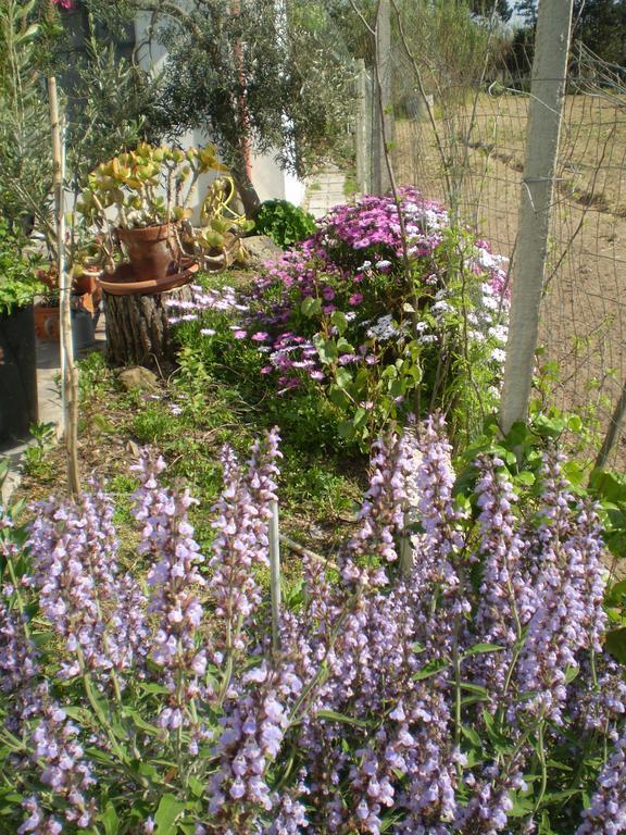 Il Giardino Di Emilio Bed & Breakfast Marrùbiu Стая снимка