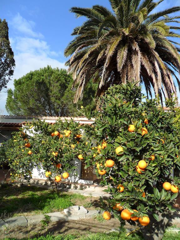 Il Giardino Di Emilio Bed & Breakfast Marrùbiu Стая снимка
